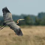 Casa de Férias De Marsinne - Le Moulin
