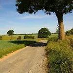 De Marsinne - Le Moulin * Heron