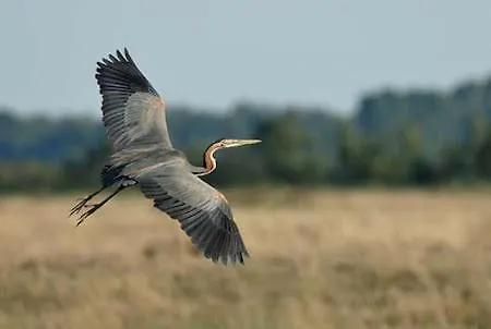 بيت للعطل De Marsinne - Le Moulin
